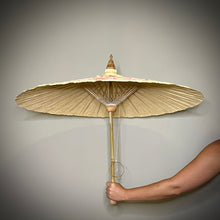 Load image into Gallery viewer, PINK PAMPAS